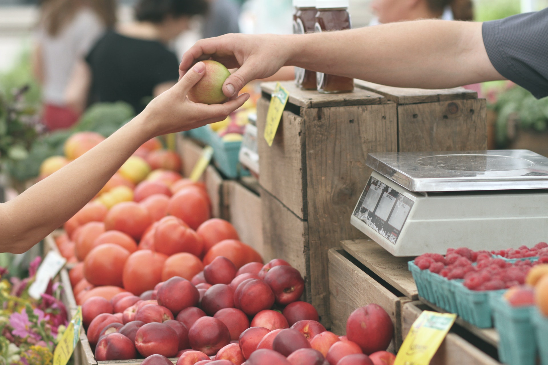 Commerces et Artisanat