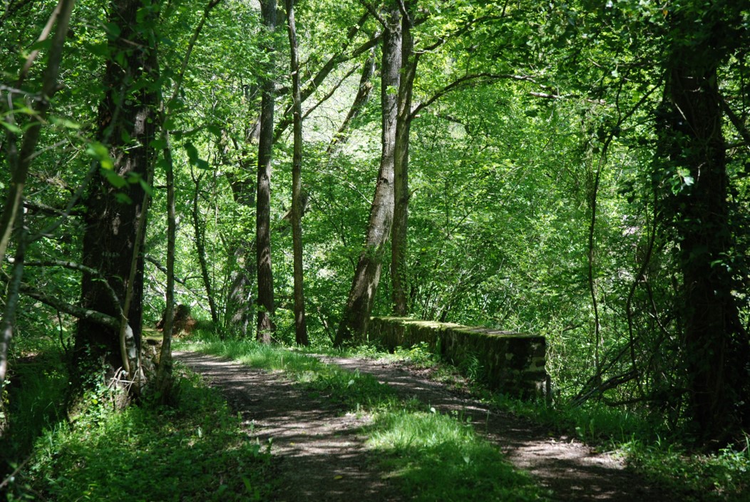 Randonnées en Charnie