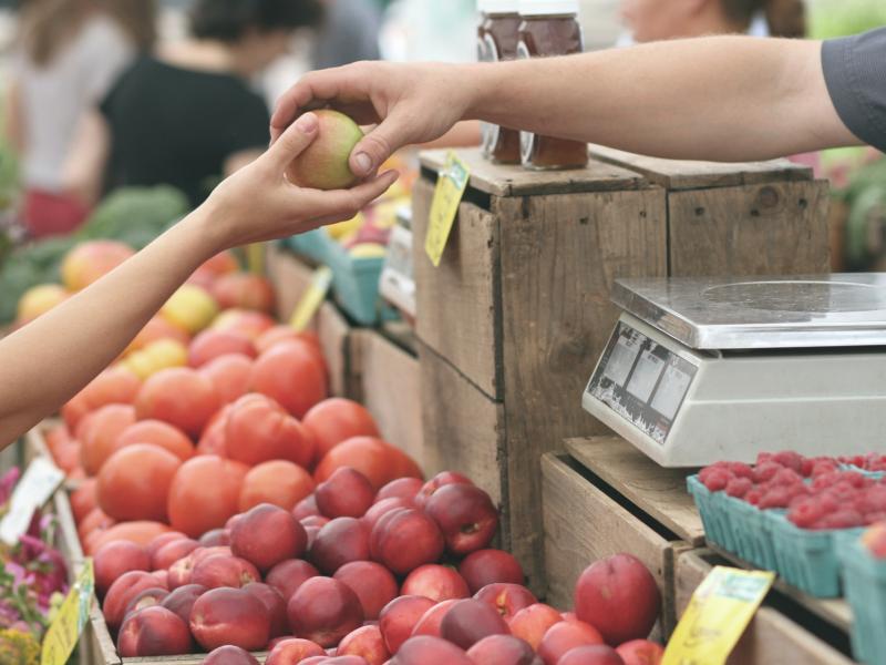 Annuaire de l'activité économique 