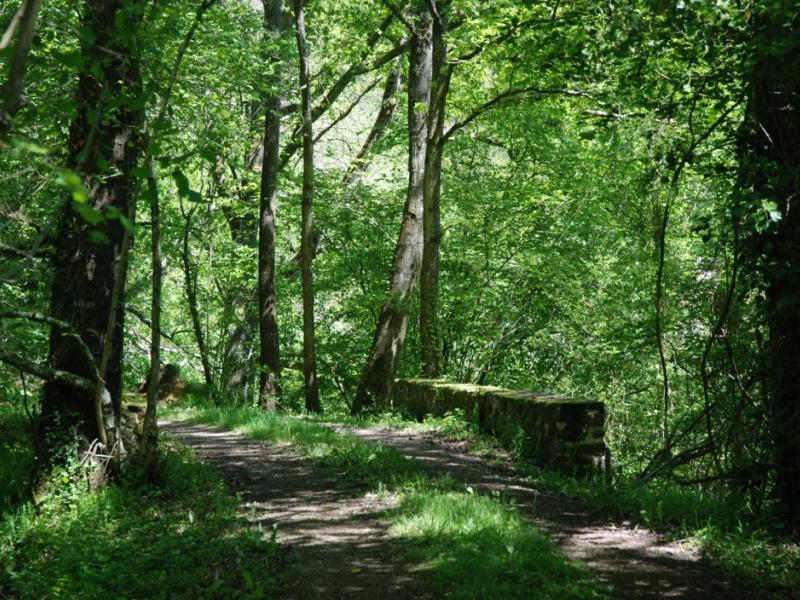 A Chemiré-en-Charnie